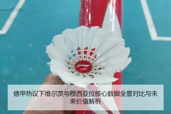 de-jia-re-yi-xia-wei-er-ci-yu-mu-xi-ya-la-he-xin-shu-ju-quan-jing-dui-bi-yu-wei-lai-jia-zhi-jie-xi-2-127.jpg